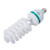 150W Photography Compact Fluorescent CFL Daylight Balanced Bulb with 5500K Color Temperature for Photography & Video Studio Lighting