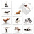 Bovine Nirvana: 20 Assorted All Occasions Greeting Cards (Mini 4 x 5.12 inch) Featuring a Flexible Cow Perfecting a Yoga Pose, with Envelopes. AM6545OCB-B2x10