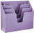 Acrimet Horizontal Triple File Folder Organizer (Purple Color)