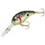 Bandit Crank 300-Series 2-Inch Pearl Splatter Back 8 to 12-Feet Deep Bait
