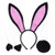 BCP Animals Cute Plush Bunny Rabbit Ears Tail Bow Tie Party Halloween Costume kit (Black)