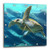 3D Rose Water Turtle in The Sealife Ocean Wall Clock 10" x 10"