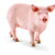Schleich Pig Figurine Toy Figure