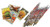 Nikki's Knick Knacks Dinosaur Themed Pencils and Notebooks - 24 Count Each