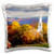 3dRose pc_189648_1 Use, California, Point Reyes National Seashore, Drakes Beach Pillow Case, 16 x 16