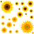 22Pcs DIY Sunflower Wall Sticker 3D Yellow Flower Wall Decals Peel and Stick Removable Wall Art Decor Nursery Daisy Floral Stickers for Kids Baby Living Room Decoration