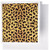 3dRose Cheetah Animal Print - Greeting Cards, 6 x 6 inches, set of 12 (gc_20340_2)