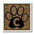 3dRose ht_25936_3 Letter C Standard Cheetah Print Cat Paw Iron on Heat Transfer Paper for White Material, 10 by 10"