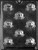 Cybrtrayd Life of the Party A003 Frog Bon-Bon Chocolate Candy Mold in Sealed Protective Poly Bag Imprinted with Copyrighted Molding Instructions