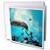 3dRose Underwater World Mermaid Playing with Dolphin - Greeting Card, 6" x 6", Single (gc_239731_5)