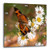 3dRose Monarch Butterfly On Wild Daisies - Wall Clock, 10 by 10-Inch (DPP_11861_1)