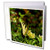 3dRose Greeting Cards, 6 x 6 Inches, Pack of 12, Image of Florida Monarch Butterfly (gc_174279_2)
