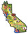California State Decowood Jumbo Wood Fridge Magnet 5