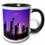 3dRose mug_61887_4"A Sunset In Tampa Florida" Two Tone Black Mug, 11 oz, Multicolor