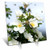 3dRose dc_23924_1 Magnoli a Blooms Desk Clock, 6 x 6