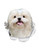 Winston & Bear Bichon Frise Dog Wall Decals - 2 Pack - Bichon Frise 3D Sticker Decals for Walls, Cars, Toilet and More - Retail Packaged Bichon Frise Gifts