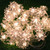 echosari LED String Lights 4M/13feet 40 LED Lotus Flower for Chrismas, Party, Wedding, Indoor, Garden Décor (Warm White)