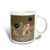 3dRose mug_2 7350_2 Groundhog I Saw My Shadow Ceramic Mug, 15-Ounce