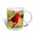 3dRose Red Cardinal Ceramic Mug, 15-Ounce