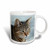 3dRose Cat Tabby Cat Ceramic Mug, 15-Ounce