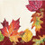 Creative Converting 332000case Fall Leaves Beverage Napkins, One Size, Multicolor