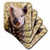 3D Rose Lovely Farm Baby Pig Soft Coasters, Multicolor
