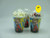 Set of 8 - Incredibles Party Cups, Popcorn Cups, Goody Bags, Favor Boxes
