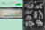 Cybrtrayd MdK25S-A006 Wild Animals Animal Chocolate Candy Mold with Packaging Kit