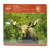 hopper Studios 500-Piece Jigsaw Puzzle | 19-x-14-Inch Finished Size | Wildlife Moose