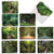 Nature Trail - 20 All Occasion Note Cards with Envelope (4 x 5.12 Inch) - Beautiful Boxed Assorted Scenery Greeting Notecards - Natural Landscapes, Stationery (2 Each, 10 Designs) AM6467OCB-B2x10