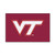 FANMATS NCAA Virginia Tech Hokies Nylon Face Starter Rug