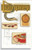 Frey Scientific 532248 Mini-Guide to Lamprey Dissection
