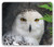 Ambesonne Wizard Mouse Pad, Pattern White Owl Themed Animal Green Leaves Amber Eyes Gift Witchcraft Print, Rectangle Non-Slip Rubber Mousepad, Standard Size, Black White