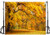 DLERGT 7x5ft Autumn Photography Backdrop Vinyl Forest Yellow Fall Leaves Grass Park Photo Background Children Baby Adults Portraits Backdrop 1-976