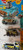 Beach Cruisin Bundle