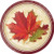 Fall Leaves Paper Plates, 24 ct