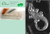 Cybrtrayd MdK50-A067 Large Alligator Animal Chocolate Candy Mold with Packaging Kit
