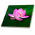 3dRose Lotus Ceramic Tile, 4-Inch