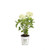 Invincibelle Limetta Smooth Hydrangea, Live Shrub, Green-White Flowers, 4.5 in. Quart