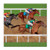 Horse Racing Luncheon Napkins (Pack of 6)