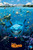 Trends International Disney Pixar Finding Nemo - Cast Wall Poster, 14.725" x 22.375", Premium Unframed