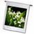 3dRose Lily of The Valley. White. Spring Flowers - Garden Flag, 12 by 18"