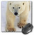3dRose LLC 8 x 8 x 0.25 Inches Mouse Pad, Polar Bear Close-Up (mp_10719_1)