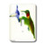 3dRose LLC lsp_21808_1 Morning Glory and Hummingbird - Single Toggle Switch