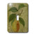 3dRose lsp_6448_1 Pear Single Toggle Switch Multicolor