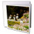 3dRose Europe, Scotland, Shetland Islands. Atlantic Puffins On Ledge. - Greeting Cards, 6" x 6", Set of 6 (gc_228103_1)