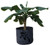 Roots Organics RORP100 100 gallon Root Pot, 38 x 20