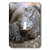 3dRose LLC lsp_73174_1 Indonesia, Sunda Archipelago, Komodo Dragon Lizard-As11 Jst0015m Jay Sturdevant Single Toggle Switch
