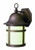 Trans Globe Lighting PL-4580 WB Outdoor Thomas 12.5" Wall Lantern, Weathered Bronze