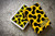 SYNCSPIKE Cheetah Playing Cards & Clear Protective Playing Cards Case